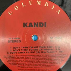 r0416-24★レコードLP まとめて５枚セット ヒップホップ 洋楽 KANDI LIL'KIM CLEOPATRA クレオパトラ RYDE OR DIE vol.2の画像5