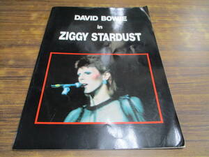 G134【DAVID BOWIE】in ZIGGY STARDUST