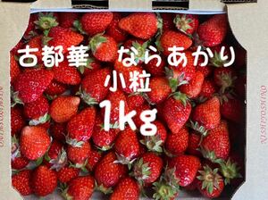 1kg 古都華　ならあかり　イチゴ プレミアム 鮮度 いちご 苺 奈良県　農家直送　古都華　加工用　ジャム用　訳あり　全国いちご選手権　