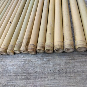 ティンパニマレット作製用女竹 ハネ品 未処理品 約30本です 根元節バージョンの画像2