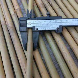 ティンパニマレット作製用女竹 ハネ品 未処理品 約30本です 根元節バージョンの画像5