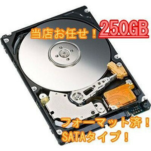 中古 メーカー当店お任せ デスクトップパソコン用HDD SATA 250GB 10個セット　送料無料 HDD 3.5インチSerial ATA 250GB 7200rpm