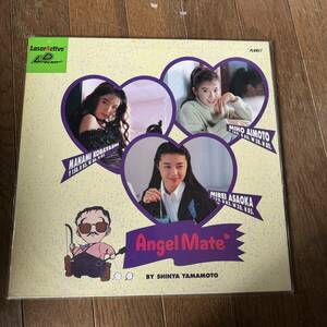 Лазерный активный LDROM Angel Mate Laser Disc Ld Peanj