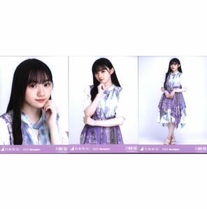 【4/30-11】乃木坂46 公式グッズ 生写真 3枚 コンプ ヨリチュウヒキ 2022.November-Ⅳ 真夏の全国ツアー衣装 コンプ　川﨑桜