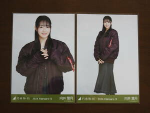 乃木坂46　向井葉月　Webshop限定　2024年2月度生写真　MA-1×スカート　チュウ・ヒキ