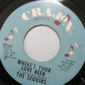 45 THE SEQUINS ( CRAJON ) の画像2