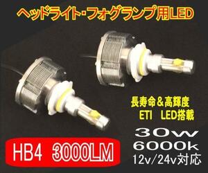 【みねや】ETI LED搭載 3000LM ヘッドライト用 HB4 1年保証