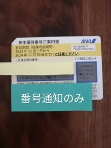 番号通知のみ ANA 株主優待券2024/11/30まで 1枚 B