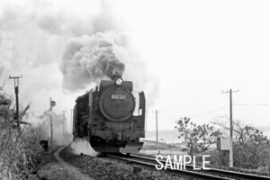 D51 331 羽越本線【鉄道写真51037】KGサイズ☆