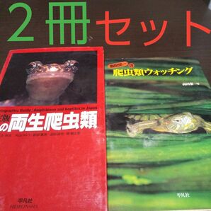 爬虫類の本【２冊組】