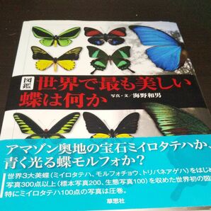 図鑑世界で最も美しい蝶は何か 海野和男／写真・文