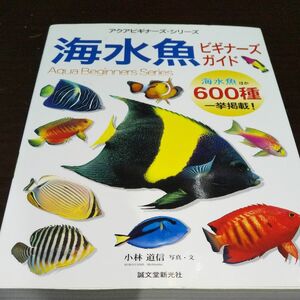 海水魚ビギナーズガイド600種