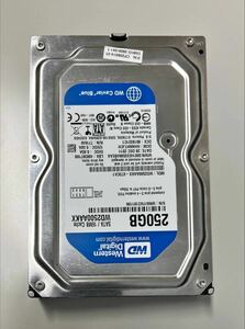 Western Digital(250GB SATA)ブルー：完動品