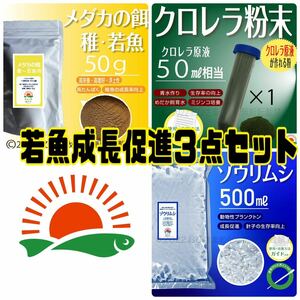 送料無料 【メダカ若魚成長促進３点セット(餌50gクロレラ粉末50mlゾウリムシ500ml)】ミドリムシめだか卵金魚らんちゅう青水 ミジンコpsbに