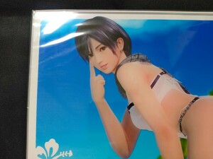 1円スタート TC記念 なぎさ DEAD OR ALIVE Xtreme Venus Vacation アクリルボード　未開封　DOAXVV