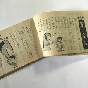 小学館の学習雑誌の付録/なぞなぞ/いじわるクイズ/パズルブック/昭和レトロ/当時物/小2/小5/小6の画像5