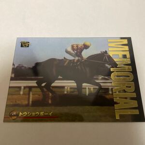 to cow .u Boy clear card Thoroughbred Card 97 year under half period 