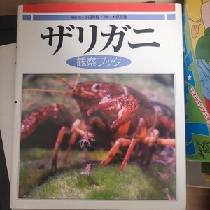 ザリガニ観察ブック 小田英智／構成・文　大塚高雄／写真