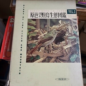 原色日本野鳥生態図鑑 Vol.1