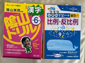 陰山ドリル 漢字 分野別学習ノート 比例・反比例　小学6年生