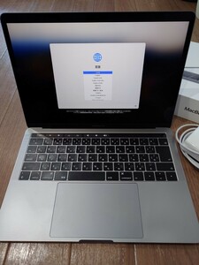 Apple MacBook Pro 13インチ 2019 Intel Core i5 メモリ8GB SSD 128GB 元箱あり 中古良品 スペースグレイ Thunderbolt3×2