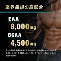 Risemen ライズメン EAA BCAA 必須アミノ酸全9種 グルタミン β-アラニン クエン酸 【1袋/520g×10袋】 筋トレ ボディメイク 5kg〜_画像2