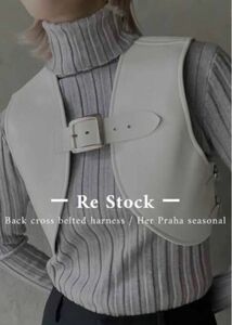 her praha back cross belted harness ハープラハ　バッククロスベルテッドハーネス　litmus