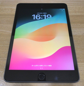 Apple iPad mini 第5世代 Wi-Fi 256GB スペースグレイ