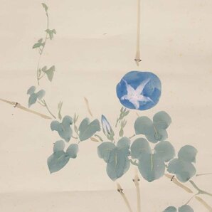 【真作】【WISH】荒木十畝「蕣花小禽」日本画 金泥仕様 掛軸 共箱   〇花鳥画重鎮 帝国美術院会員 師:荒木寛畝 #24040014の画像5