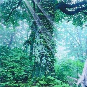 【真作】【WISH】ケイ・タカマツ K.TAKAMATSU「ユニコーンの森」アクリル 15号大 大作 ◆貴重原画1点物  〇イラストレーター #23122283の画像6