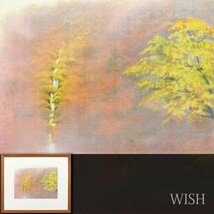 【真作】【WISH】岩澤重夫 銅版画 6号大 直筆サイン 紅葉 滝 　　〇文化功労者 日本芸術院会員 日展顧問 物故巨匠 #24033019_画像1