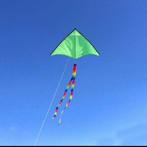 緑 三角凧 凧 100M凧糸とハンドル付き 収納バッグ付 超簡単に揚がる凧