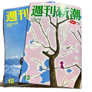 お値下げ 2冊で500円