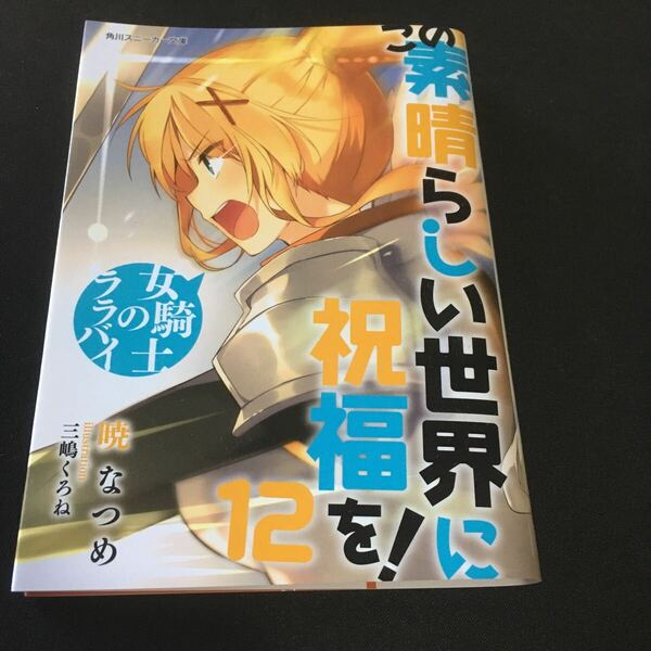 この素晴らしい世界に祝福を　12巻　メロンブックス特典ブックカバー