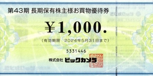 即決21700円 ビックカメラ 株主優待 23000円(1000円券×23枚) 2024年5月31日まで