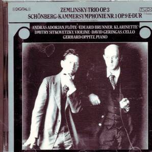 ol742 ZEMLINSKY: TRIO OP.3 /SITKOVETZKYの画像1