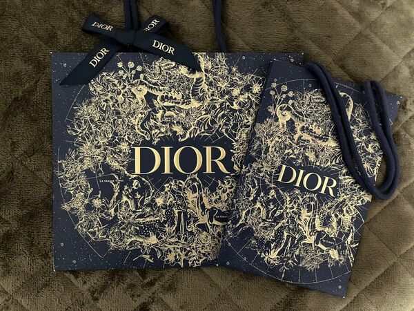 Dior ショッパー ショップ袋