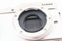 ★極上品★パナソニック Panasonic LUMIX DC-GF10 ボディ　L436S1980_画像5