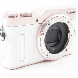 ★極上品★パナソニック Panasonic LUMIX DC-GF10 ボディ L436S1980の画像4