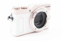 ★極上品★パナソニック Panasonic LUMIX DC-GF10 ボディ　L436S1980_画像4