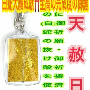 神楽面用 天然 メモリーオイル 白蛇の抜け殻 キーホルダー 脱け殻 白馬のたてがみ 金運上昇 開運 白蛇のお守り【天赦日ご祈祷済み】24