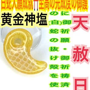 白蛇の抜け殻 黄金神塩 神社で祓い清めた神塩 金運上昇 脱け殻 メモリーオイル 勾玉 三大神器 白蛇のお守り【天赦日御祈祷済み】財布 23