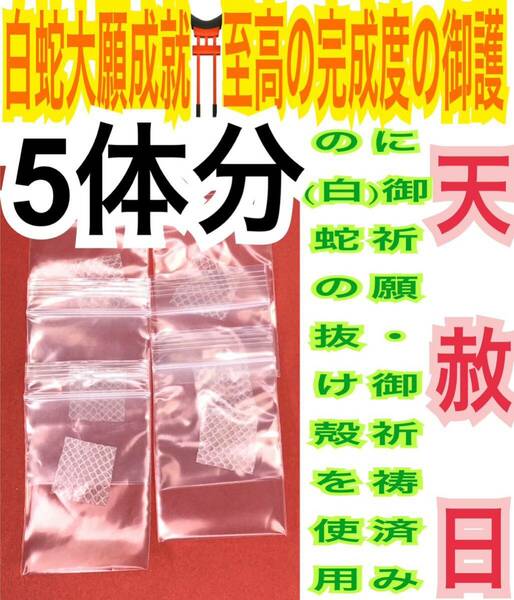 5枚分 開運にどうぞ! 白蛇の抜け殻 白蛇のお守り【天赦日ご祈祷済み】財布 運気上昇 金運 財運 開運 大願成就 億万長者 出世運 幸運 20