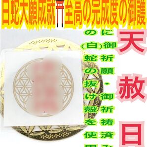 白蛇の抜け殻 龍神様 サムハラ フラワーオブライフ 神字 神代文字 カタカムナ メモリーオイル 越前和紙 白蛇のお守り【天赦日ご祈祷済】23