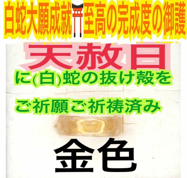 １個≪3号～27号 希望サイズ発送≫白蛇の指輪お守り【天赦日ご祈祷済】御神環 メモリーオイル 白蛇の抜け殻 リング 脱け殻 第7チャクラ 22