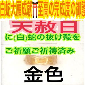 1個≪3号~27号 希望サイズ発送≫白蛇の指輪お守り【天赦日ご祈祷済】御神環 メモリーオイル 白蛇の抜け殻 リング 脱け殻 第7チャクラ 22