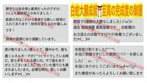 １個≪3～27号希望サイズ発送≫指輪お守り 御神環 メモリーオイル 白蛇の抜け殻 脱け殻 マルチトルマリン チャクラ 【天赦日ご祈祷済み】24_画像8