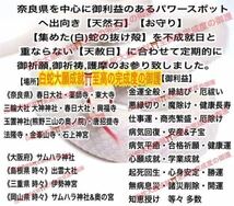 チャーム 臨時収入 白蛇のお守り 白蛇の抜け殻 財布 メモリーオイル 小瓶 高額当選 脱け殻 シトリン 第３チャクラ 【天赦日ご祈祷済み】21_画像5