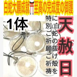 1体分 チャーム 蛇の抜け殻 金運上昇 高額当選 合格 脱け殻 ストラップ メモリーオイル 最強の蛇のお守り【天赦日ご祈祷済み】財布 20