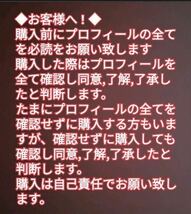 チャーム 臨時収入 白蛇のお守り 白蛇の抜け殻 財布 メモリーオイル 小瓶 高額当選 脱け殻 シトリン 第３チャクラ 【天赦日ご祈祷済み】21_画像9